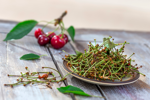 Queues de cerises : Ce qu'il faut savoir avant de les infuser ?