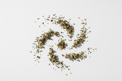 Guide Complet du Basilic Séché pour Débutants 2025