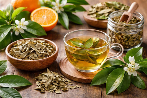 Feuille Oranger : Bienfaits et Usages en Phytothérapie