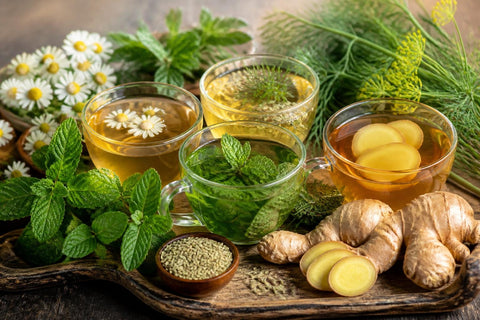 Tisane Digestion Difficile : Solutions Naturelles 2026