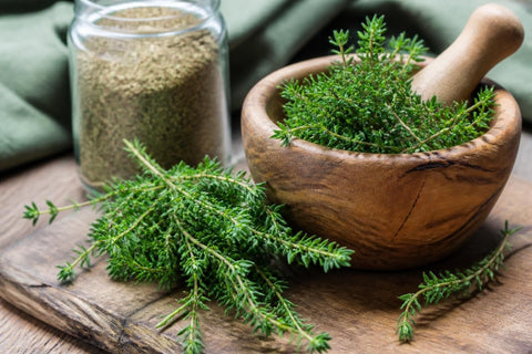 Vertus Thym : Bienfaits et Usages de cette Plante