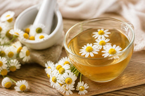 Matricaire Camomille Bienfaits : Guide Complet 2026