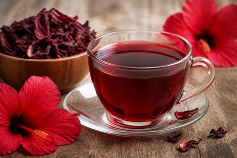 Hibiscus Fleur Bienfaits : Propriétés et Vertus en 2026
