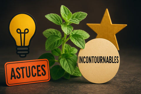 9 Astuces Incontournables Pour Sublimer L’origan En 2026