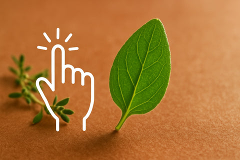 Feuille De Thym : Le Guide Essentiel 2026