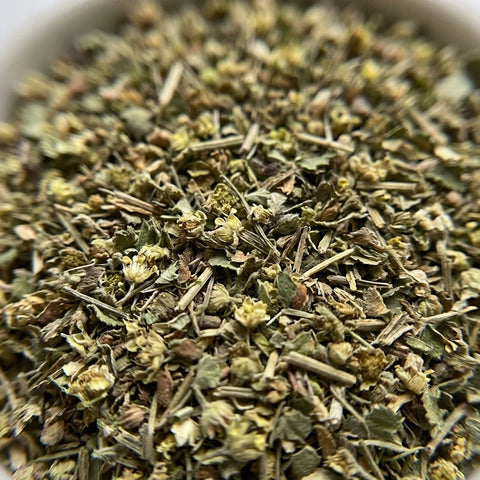 ALCHEMILLE plante coupée bio
