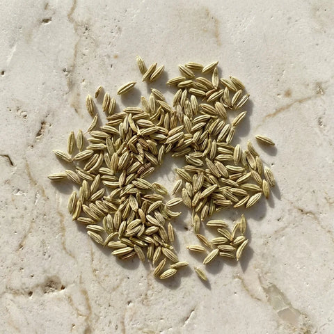 ANIS VERT graines bio