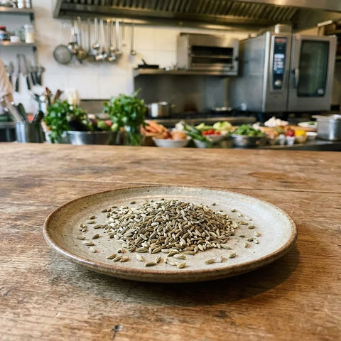 ANIS VERT graines bio