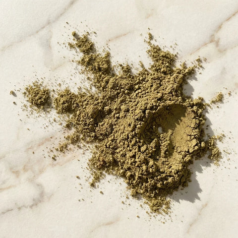 ANIS VERT poudre bio