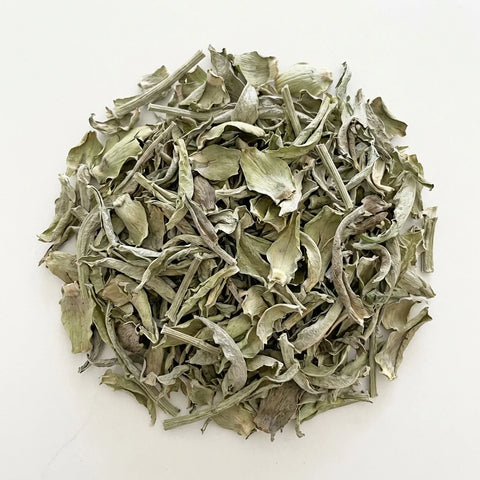 ARTICHAUT feuilles bio ( Origine France )