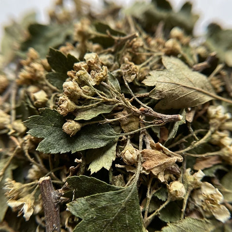 AUBÉPINE sommités bio ( Origine France )