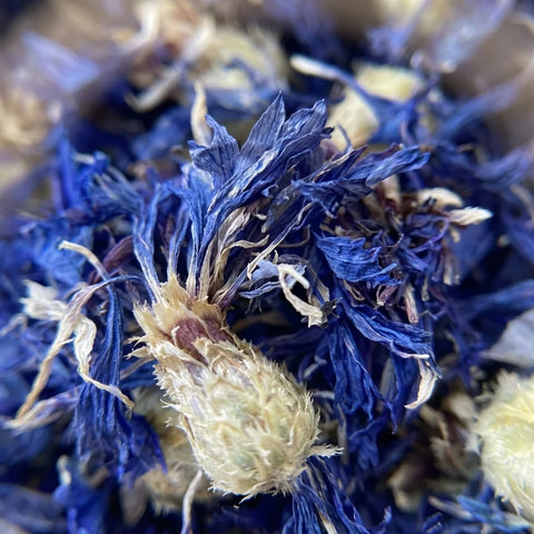 BLEUET fleurs bio ( Origine France )