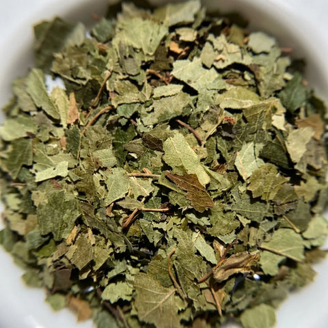 BOULEAU feuilles bio ( Origine France )