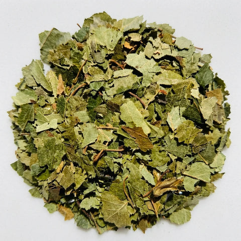 BOULEAU feuilles bio ( Origine France )