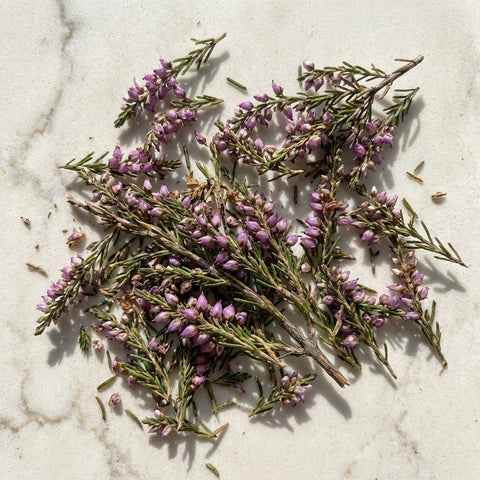 BRUYERE fleurs et feuilles bio ( Origine France )