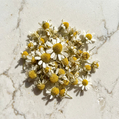 CAMOMILLE romaine fleurs bio ( Origine France )