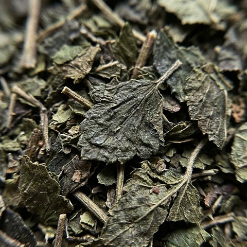 CASSIS feuilles coupées bio ( Origine France )