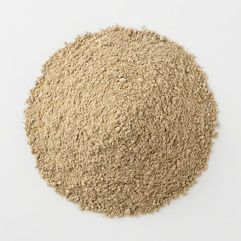 CHAMPIGNONS poudre bio