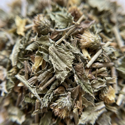 CHARDON MARIE partie aérienne coupée bio