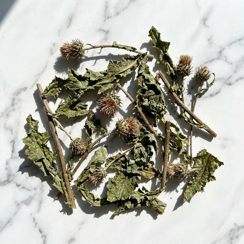 CHARDON MARIE partie aérienne coupée bio