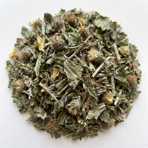 CHARDON MARIE partie aérienne coupée bio