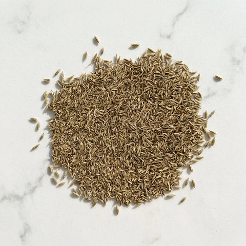 CUMIN graines bio