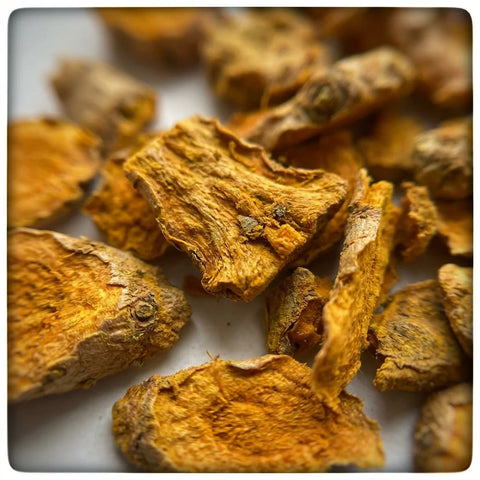 CURCUMA racine coupée bio