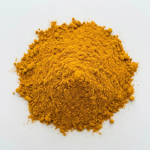 CURCUMA racine poudre bio