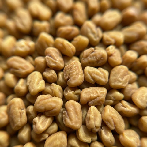 FENUGREC graines bio ( Origine France )