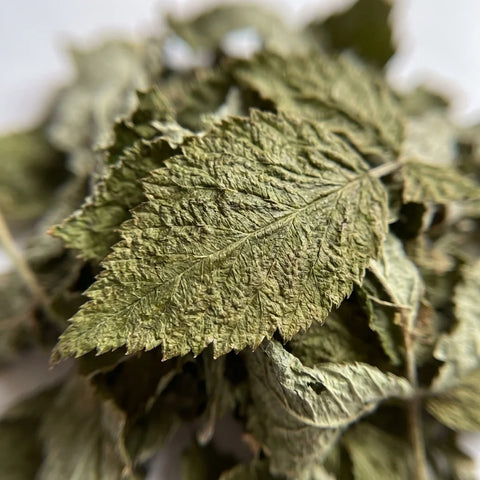 FRAMBOISIER feuilles bio