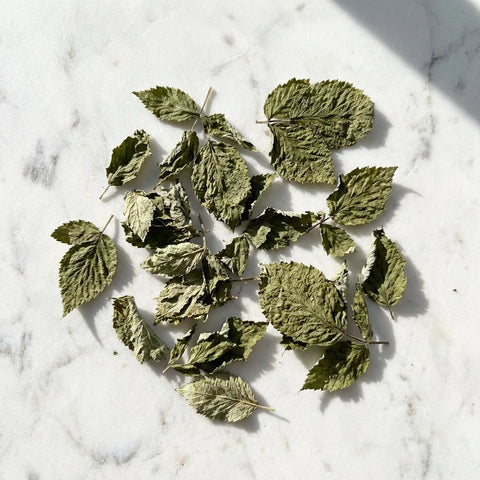 FRAMBOISIER feuilles bio