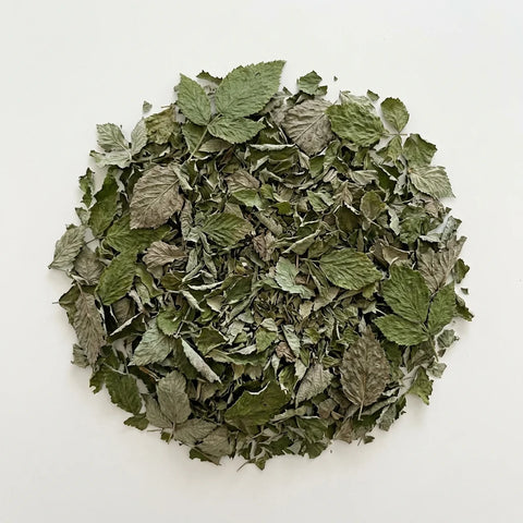 FRAMBOISIER feuilles bio