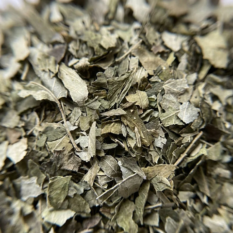 FRENE feuilles coupées bio ( Origine France )