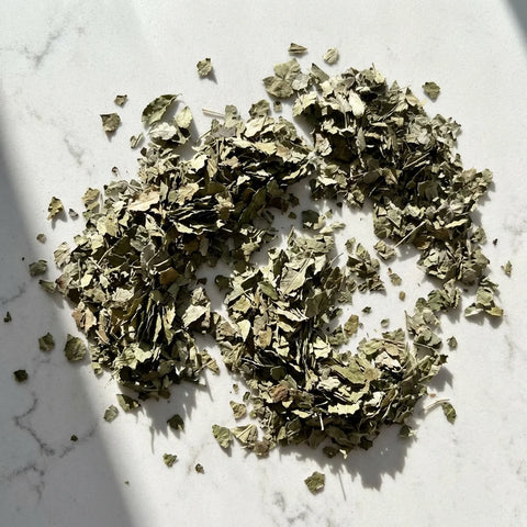 FRENE feuilles coupées bio ( Origine France )
