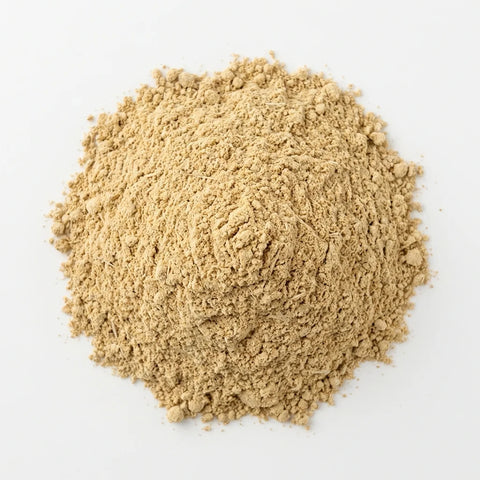 GINGEMBRE racine poudre bio