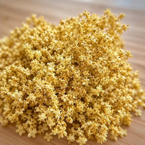SUREAU fleurs bio (origine France)