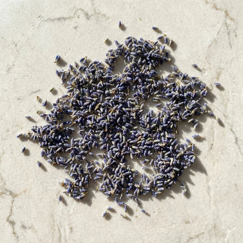 LAVANDE fleurs bio ( Origine France )