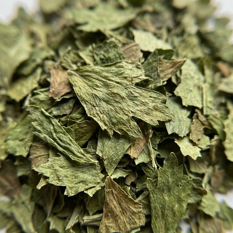 LIVECHE feuilles bio