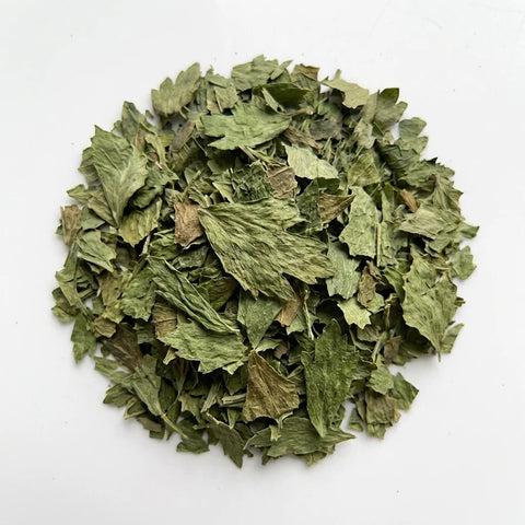 LIVECHE feuilles bio