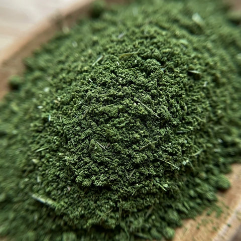 LIVECHE feuilles poudre bio