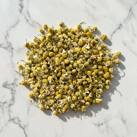 MATRICAIRE fleurs (camomille allemande) bio