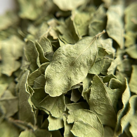 MORINGA feuilles entières bio