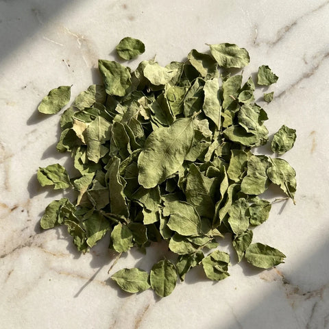 MORINGA feuilles entières bio