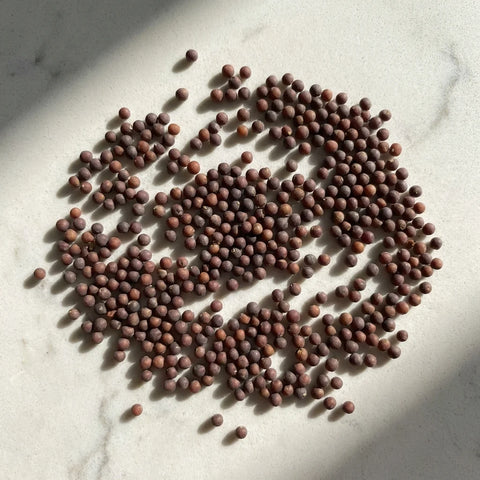 MOUTARDE BRUNE graine bio (origine France)