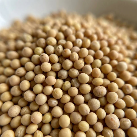 MOUTARDE JAUNE GRAINE BIO ORIGINE FRANCE