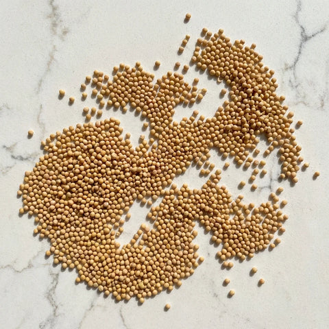 MOUTARDE JAUNE GRAINE BIO ORIGINE FRANCE