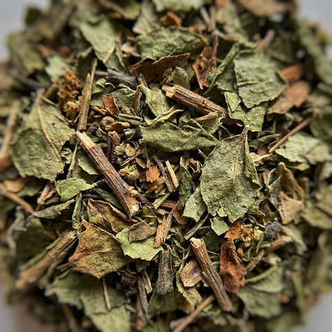 MYRTILLE feuilles bio ( Origine France )