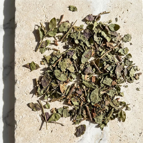 MYRTILLE feuilles bio ( Origine France )