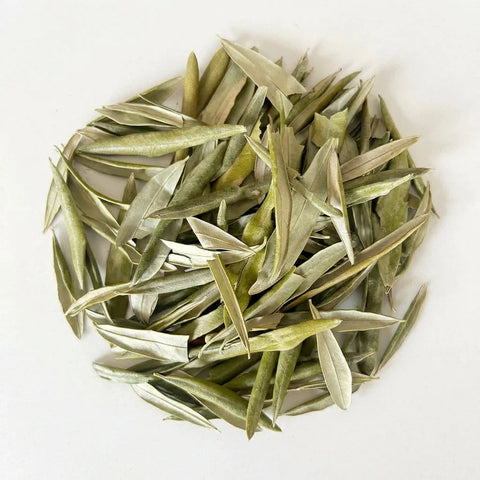 OLIVIER feuilles bio ( Origine France )