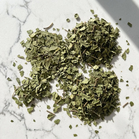 ORANGER Bigaradier feuilles coupées bio